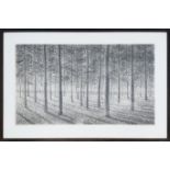 ROY WRIGHT, 'Forest II', charcoal, 85cm x 53cm, signed, framed.