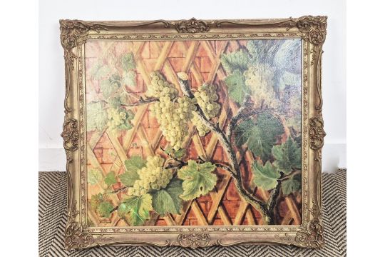 HELENE NISORY, 'Grapevine', oil on canvas, 59cm x 68cm, signed, framed. - Image 1 of 5