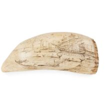 AMERICAN SCRIMSHAW WHALE'S TOOTH