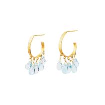 A pair of blue topaz earrings