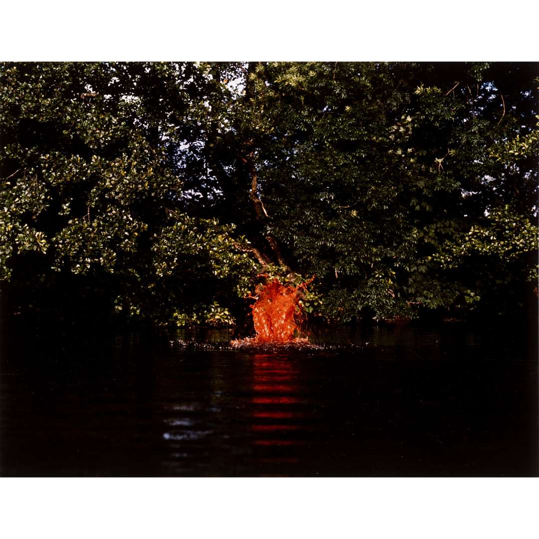 ANDY GOLDSWORTHY (BRITISH 1956-) - Image 6 of 12