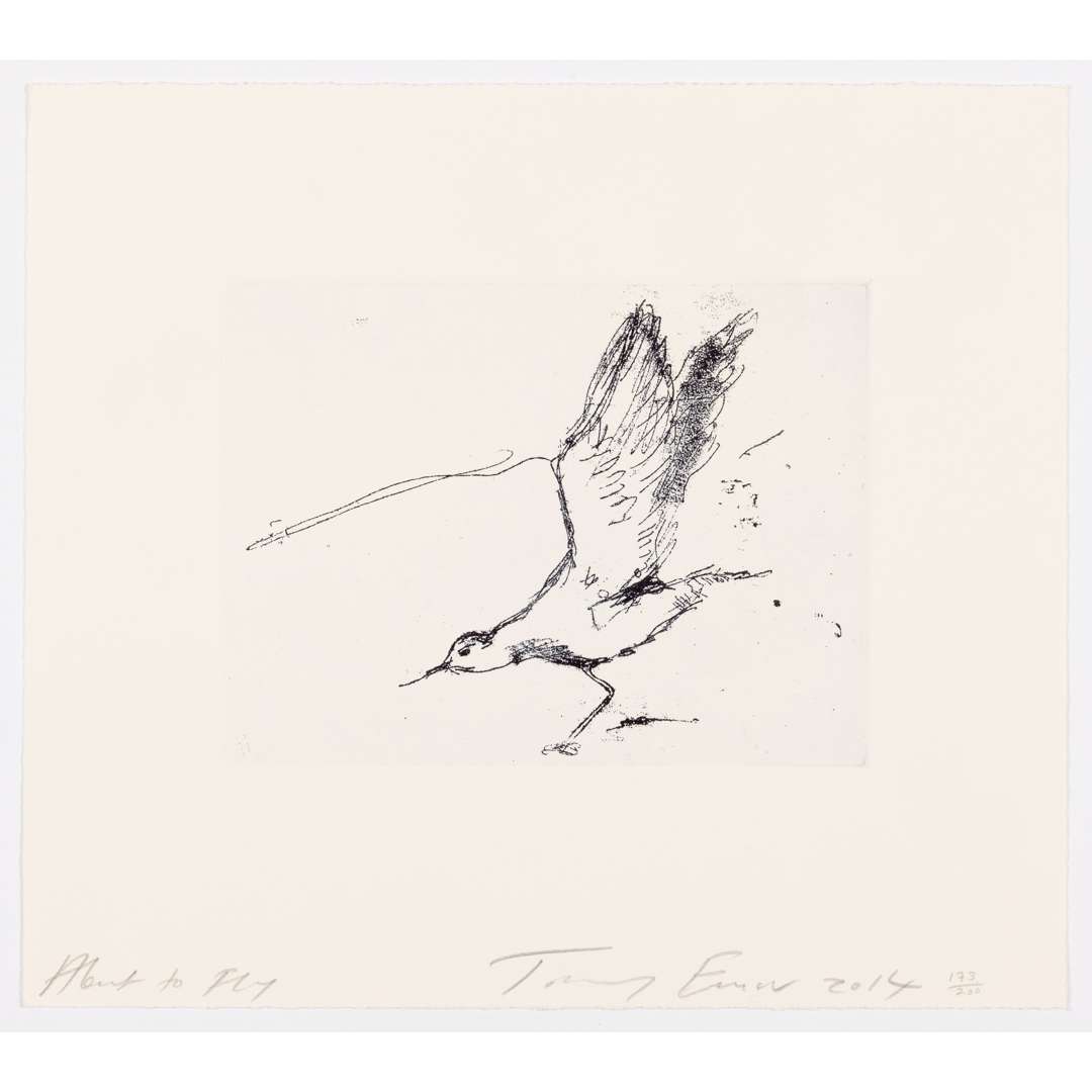 § TRACEY EMIN C.B.E., R.A. (BRITISH 1963- )