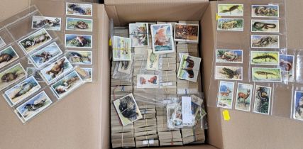 A large collection of cigarette cards, subjects including military, sports, animals and plants (