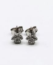 A pair of 18ct white gold diamond flower ear studs, boxed.