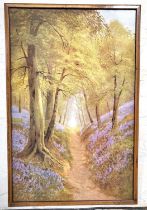 A. Sherrin- Woodland path, print, framed and glazed. 35cm x 53cm.