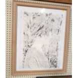 'Clare' a framed and glazed pencil drawing. By Richard Conway-Jones. Drawing 70cm x 51cm, frame 82cm