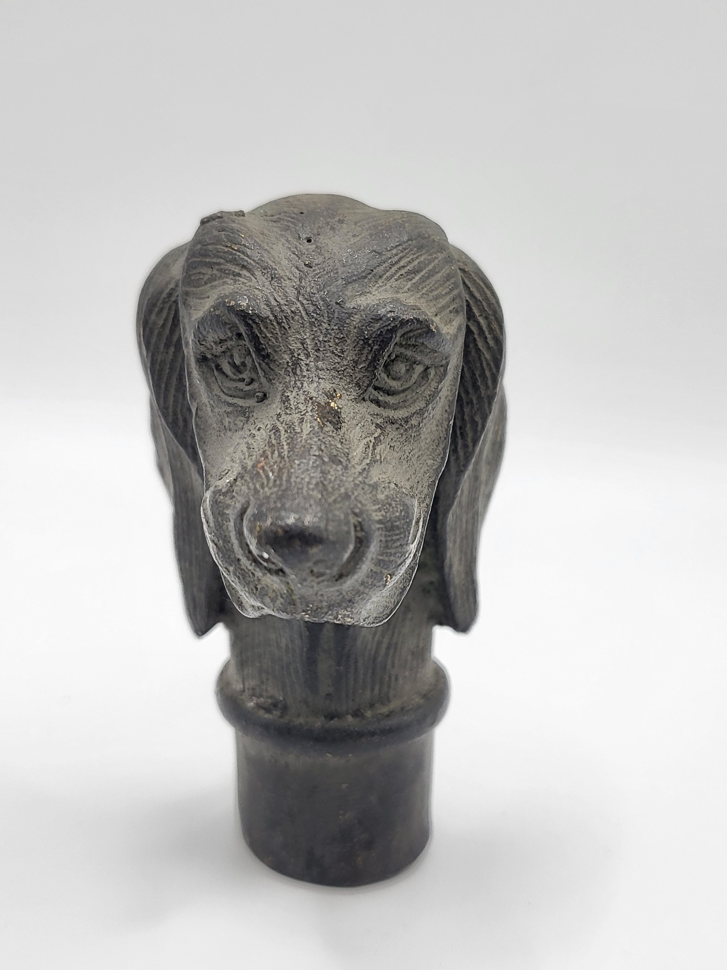 A novelty bronze walking cane handle, in the form of a dog. 7cm.