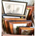 A collection of fourteen various paintings and prints, framed. (14)