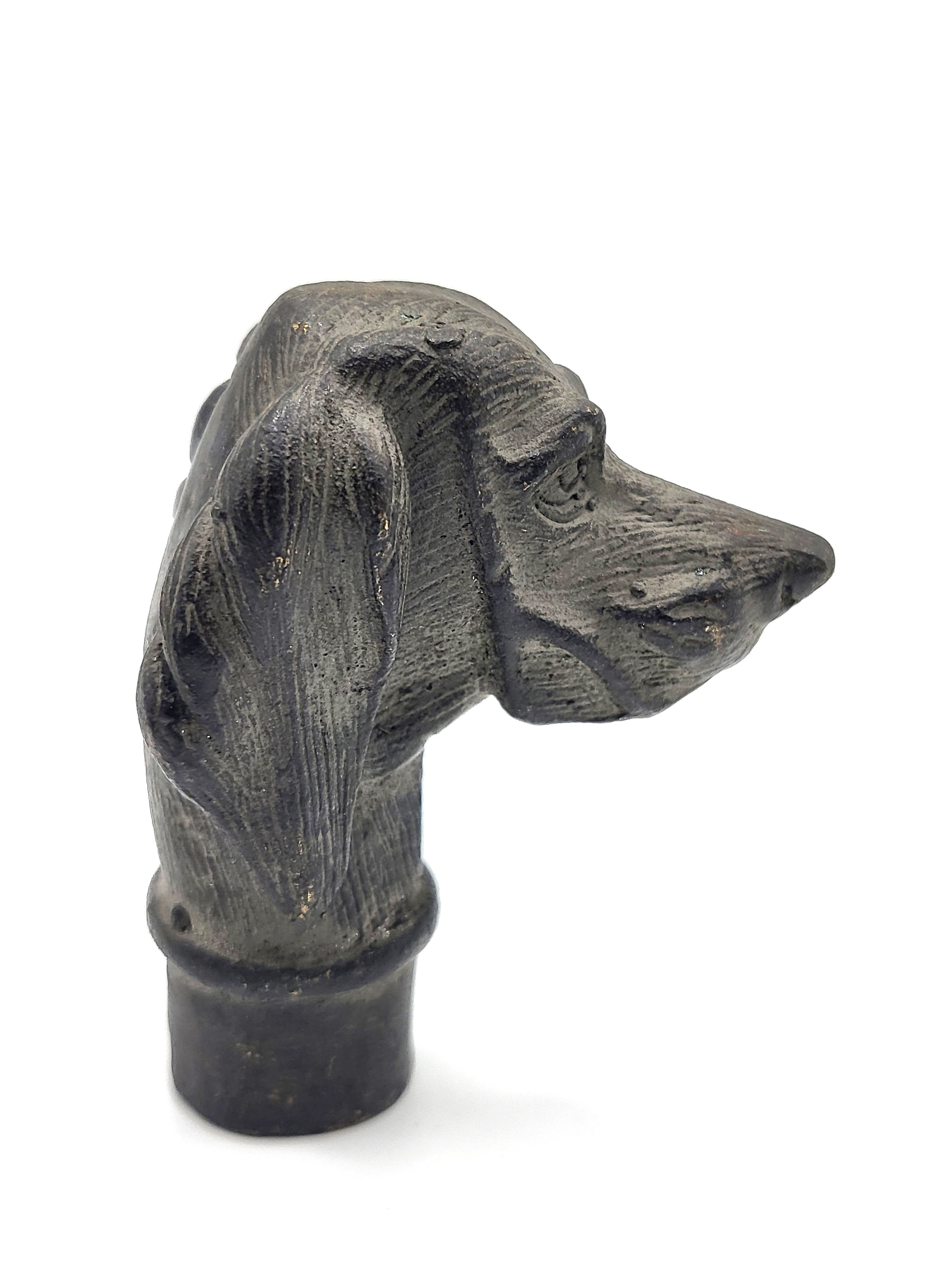 A novelty bronze walking cane handle, in the form of a dog. 7cm. - Image 3 of 4