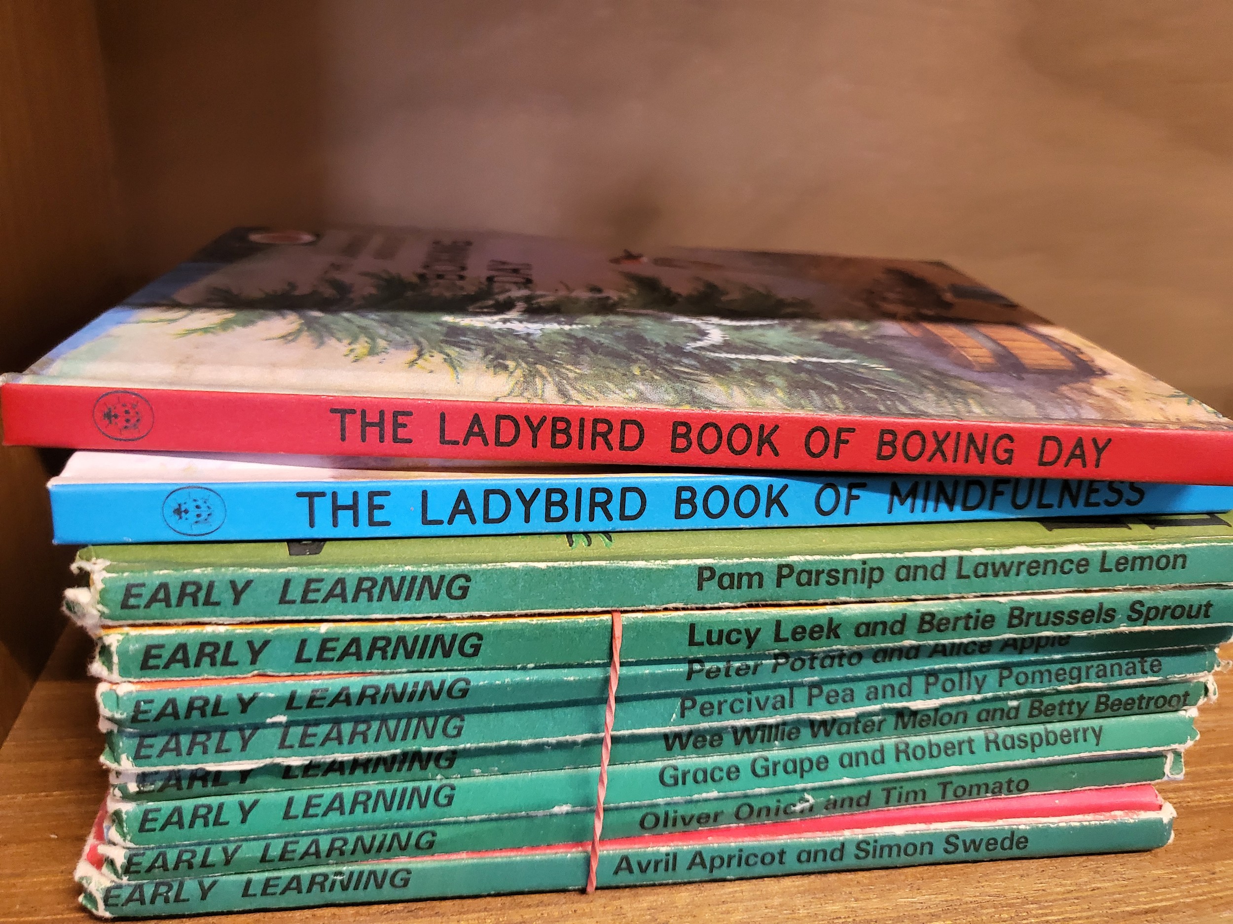 A collection of books including vintage Ladybird books - Image 5 of 5