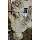 A small stone bust of a Classical figure, on socle base 52cm x 36cm.