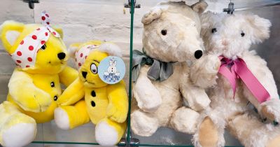 Harvergrang yellow Pudsey Bear 23cm, Asda yellow Pudset Bear 25cm, and two white Teddy Bears 34cm