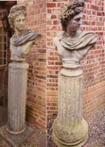 A pair of Classical stone busts (78 x 58 cm) together with a pair of large stone columns /