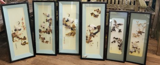 Six framed and glazed sets of shells and birds. (6)