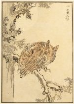 An early 20th century Japanese woodblock print, an owl in a tree, signed, 14cm x 19cm.