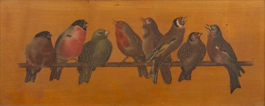 Victorian School The Jubilee Minstrels, (2 Bullfinches, 1 Greenfinch, 1 Robin, 1 Nightingale, 2