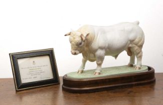 Royal Worcester porcelain 'Charolais bull' modelled by Doris Lindner, on original wooden plinth with