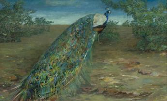 20th Century School Peacock 2, acrylic, signed lower right, 20cm x 33cm The frame with signs of wear