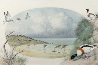 Peter Banett (20th Century British School) 'Study of lapwings', watercolour, signed lower right,