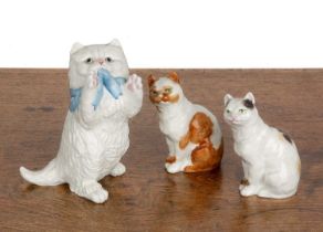 Three Royal Worcester porcelain cats the largest from the 'Kittens' series, (White Persian), marks