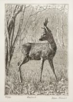 Jean Thomas (Contemporary) 'Roebuck', etching, numbered 33/60, signed in pencil lower right, 19.