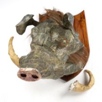 David Farrer )b.1968) 'Warthog', papier-mâché and horse hair, stained pine shield mount, signed