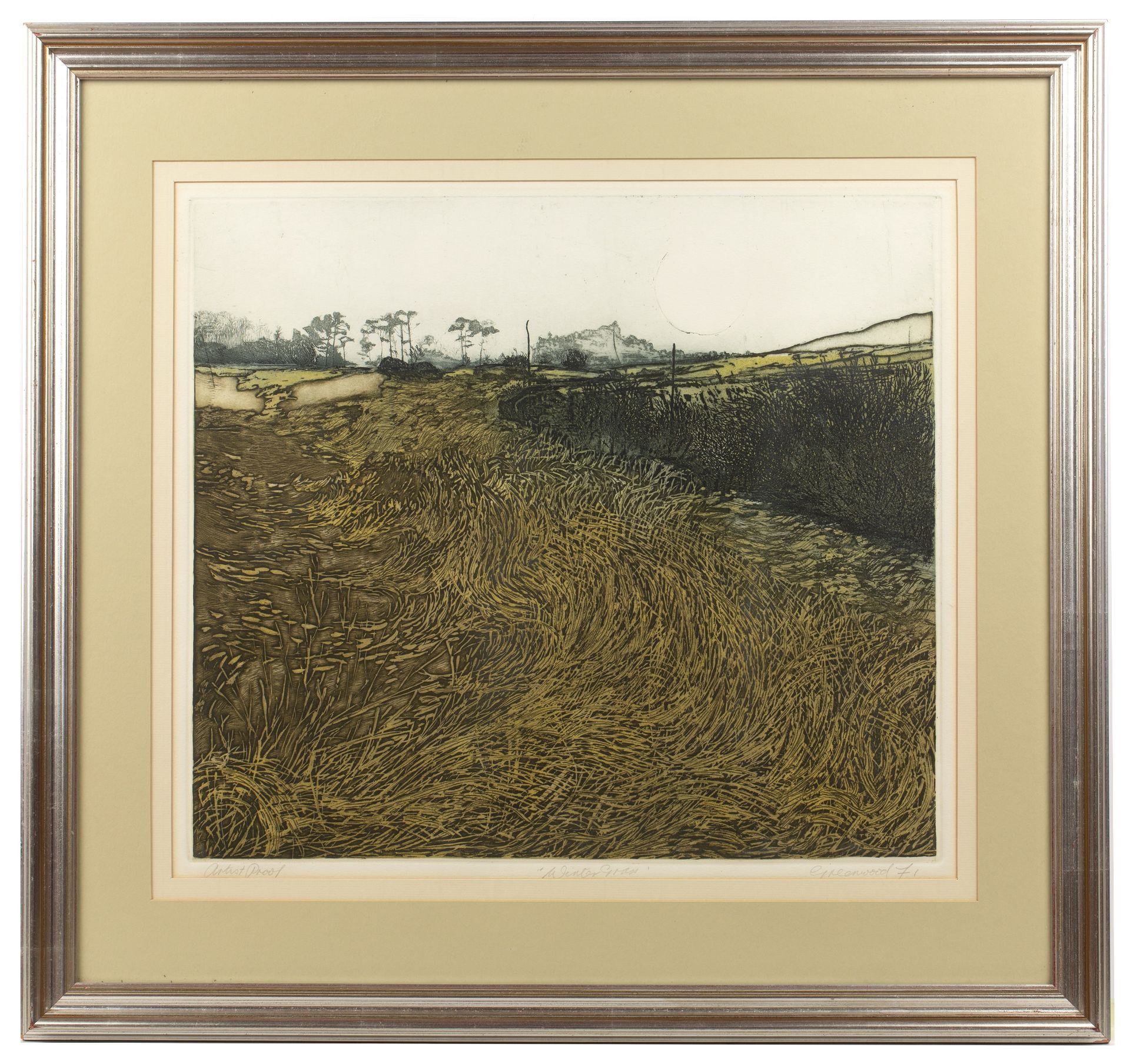 Philip Greenwood (b.1943) 'Green vale', etching and aquatint, numbered 9/75, signed and dated 1973 - Image 5 of 6