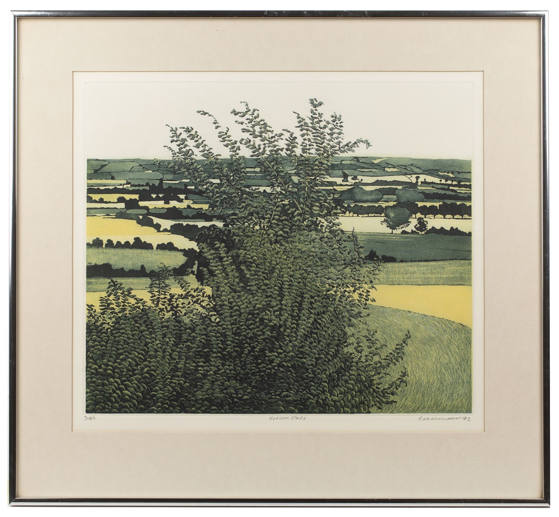 Philip Greenwood (b.1943) 'Green vale', etching and aquatint, numbered 9/75, signed and dated 1973 - Image 2 of 6