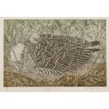 20th Century School 'Greylag goose', etching and aquatint, numbered 15/50, signed and titled in