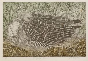 20th Century School 'Greylag goose', etching and aquatint, numbered 15/50, signed and titled in