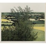 Philip Greenwood (b.1943) 'Green vale', etching and aquatint, numbered 9/75, signed and dated 1973