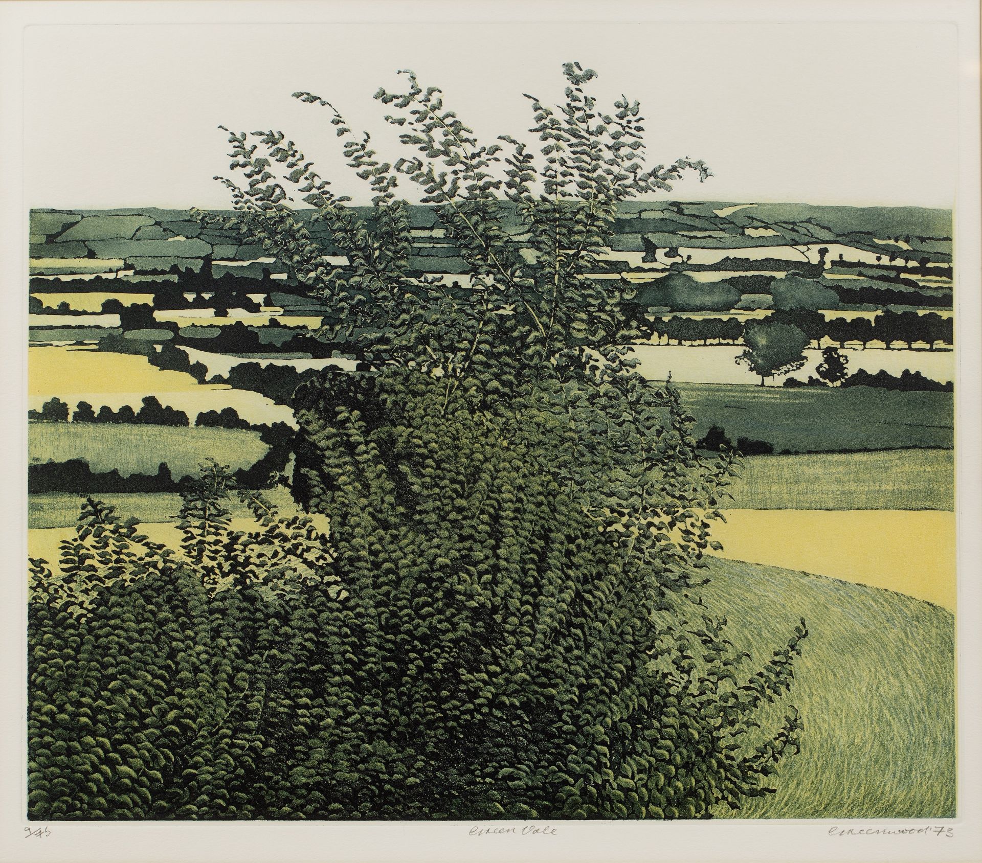 Philip Greenwood (b.1943) 'Green vale', etching and aquatint, numbered 9/75, signed and dated 1973