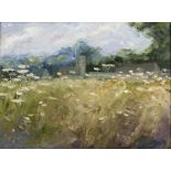 Rupert Aker (Contemporary) 'Flowers in the field', oil on panel, signed lower right, 28cm x 38cm