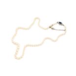A single strand cultured pearl necklace, having sapphire and diamond set clasp centred with a