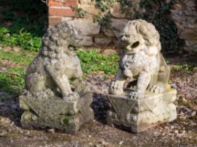 A pair of Chinese marble Dogs of Fo