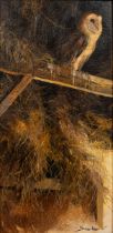 John Seerey-Lester (1945-2020), Barn Owl perched in the hay barn