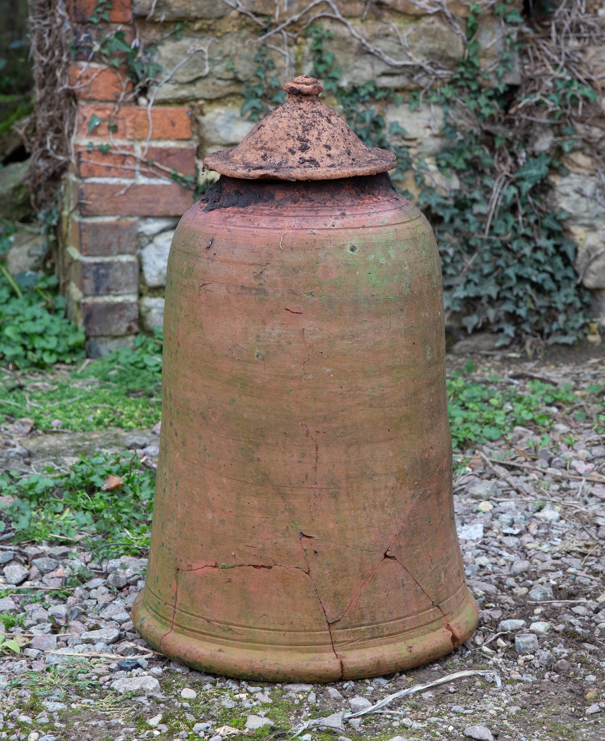 An old terracotta rhubarb forcer