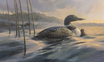 Mario Fernandez (1946-2012), a common loon and its young