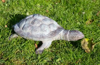 A contemporary sculpture of a tortoise