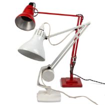 Two Anglepoise lamps