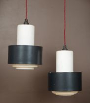 A pair of glass pendant lampshades