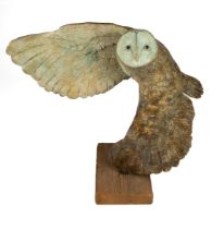 Andrew Roache (British 1949-), Barn Owl