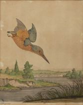 18th century English school 'Kingfisher', etching with hand-colouring, signed A Hayes and dated