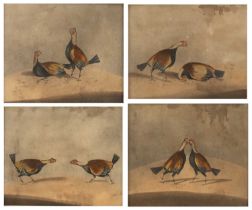 19th century English school The cock fight, a set of four, aquatints with hand-colouring, 15 x 19cm