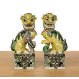 Pair of famille verte porcelain temple dogs Chinese, 19th Century each with a foot resting on a