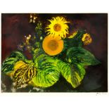 John Piper (1903-1992) Sunflowers (Levinson 420), 1989 38/70, signed and numbered in pencil (in
