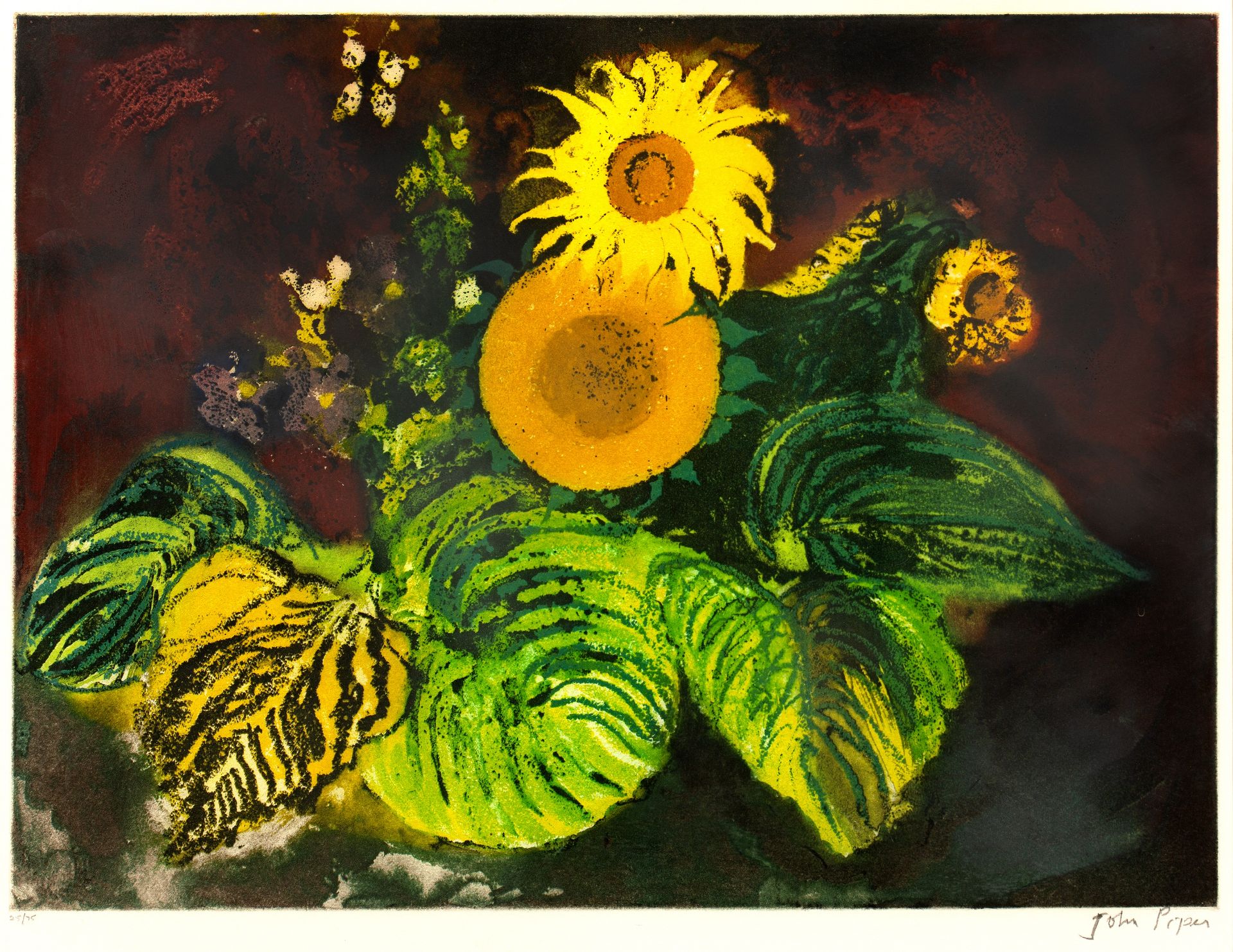 John Piper (1903-1992) Sunflowers (Levinson 420), 1989 38/70, signed and numbered in pencil (in