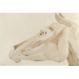 Elisabeth Frink (1930-1993) Horse's Head, 1980 signed and dated (lower left) watercolour and