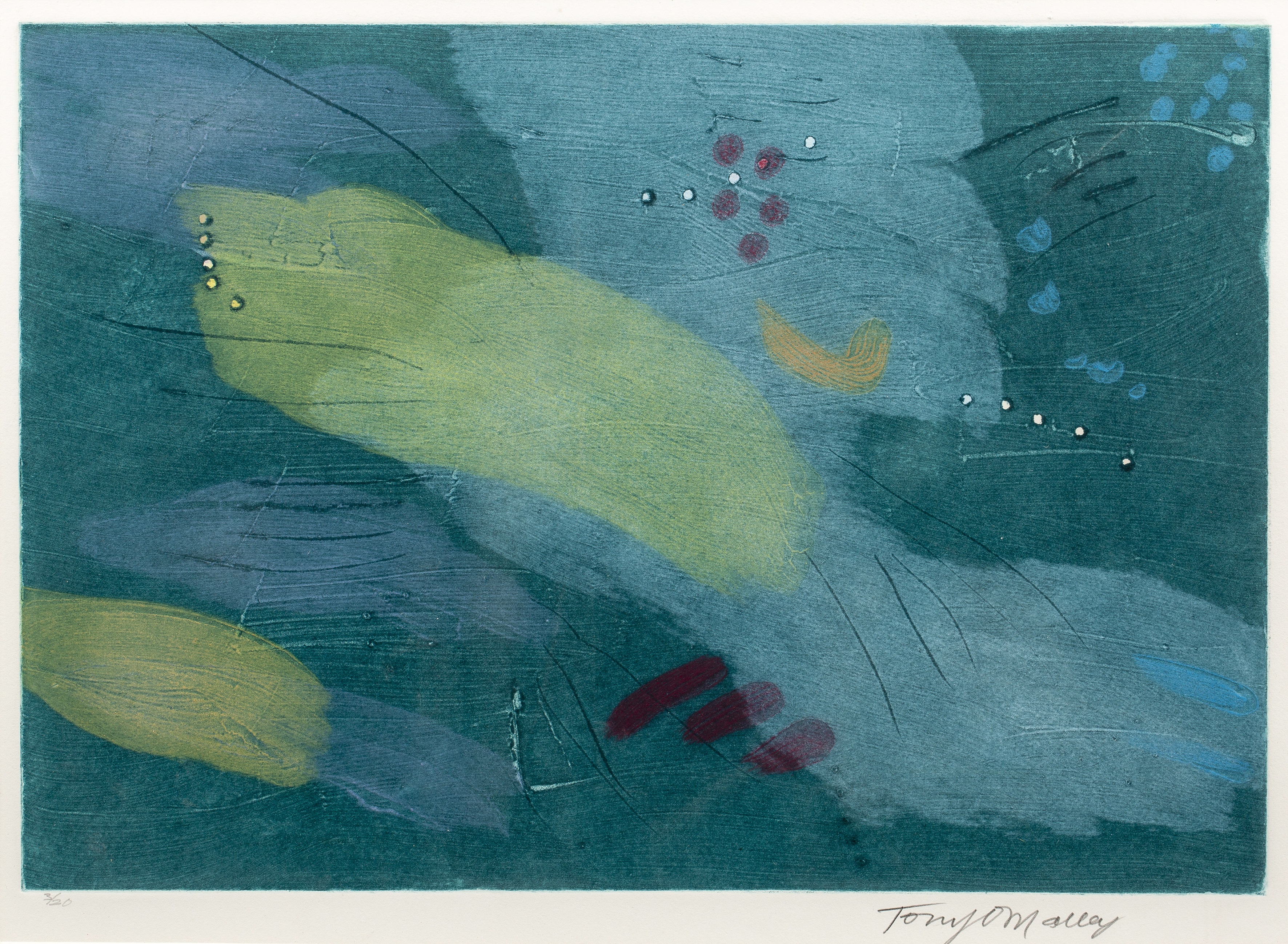 Tony O'Malley (1913-2003) Untitled 3/20, signed and numbered in pencil (in the margin) etching and