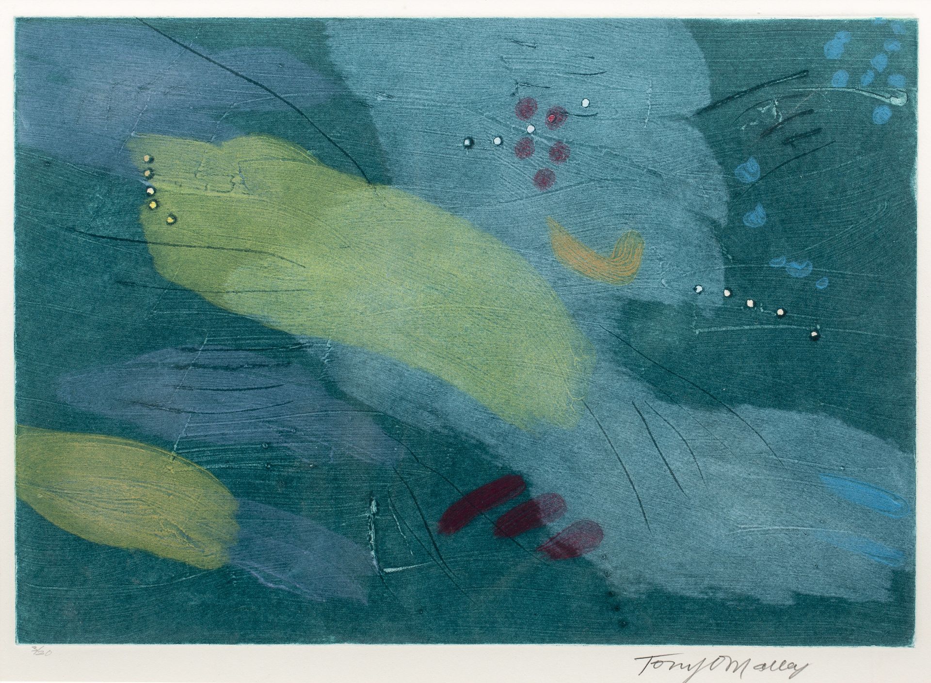 Tony O'Malley (1913-2003) Untitled 3/20, signed and numbered in pencil (in the margin) etching and